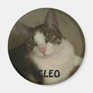 Genoemd Pet Photo Magnet