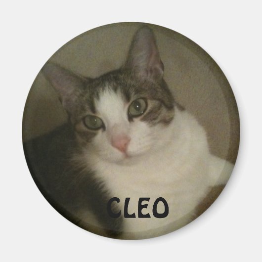 Genoemde Pet Photo Magnet (Voorkant)