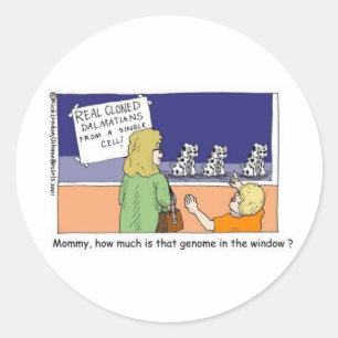 Genoom In Het Raam Grappige Dalmatische Cadeaus & Ronde Sticker