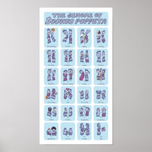 Genoom van een sokpop poster (Voorkant)