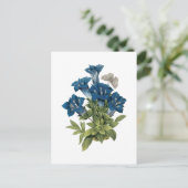 gentiaan (Gentianae acaulis) van Redouté Briefkaart (Staand voorkant)