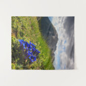 Gentiaanse bloemen en bergen van Clusius Wandkleed (Voorkant (horizontaal))
