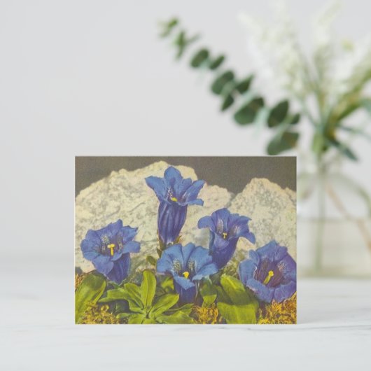 Gentian Flower Briefkaart (Staand voorkant)