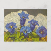 Gentian Flower Briefkaart (Voorkant)