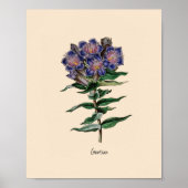 Gentian Flower Poster (Voorkant)