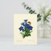 Gentiana aucalis briefkaart (Staand voorkant)