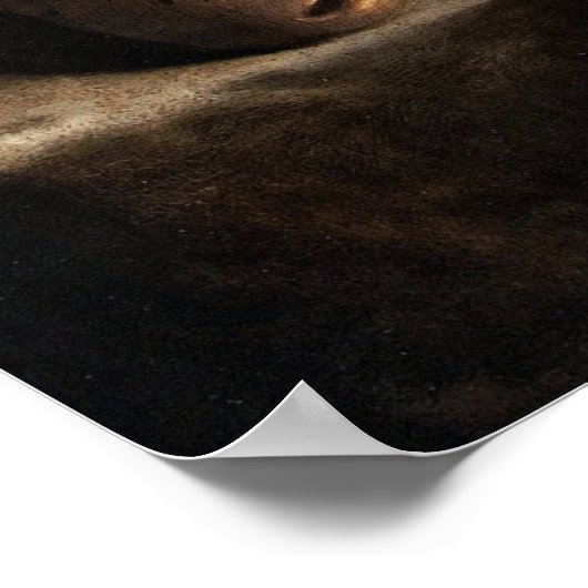 Gentileschi - Magdalene Penitent Poster (Hoek)