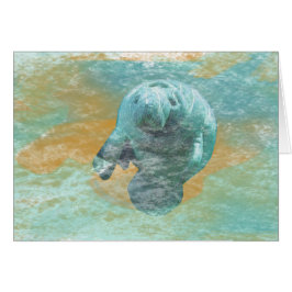 Gentle and Peaceful Manatee