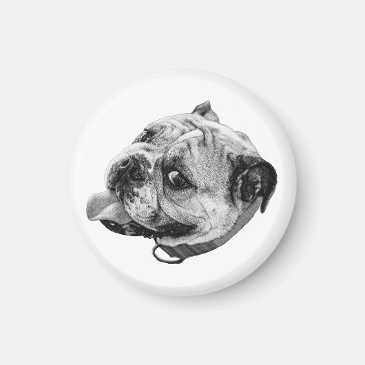 Gentle Bulldog Magnet (Voorkant)