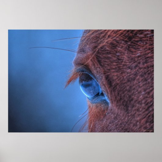Gentle Eye of a Loving Sorrel Horse Poster (Voorkant)