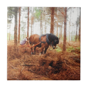 Gentle Giant - Draft Horse Hauling Logs in Forest Tegeltje