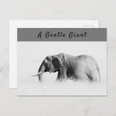Gentle Giant Elephant foto met hoge sleutel met te Briefkaart (Voorkant / Achterkant)