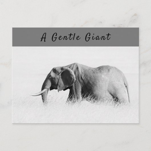 Gentle Giant Elephant foto met hoge sleutel met te Briefkaart (Voorkant)
