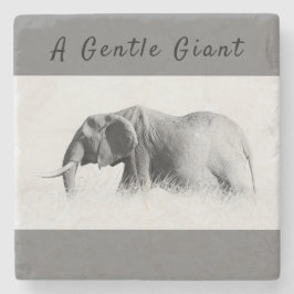 Gentle Giant Elephant foto met hoge sleutel met te Stenen Onderzetter