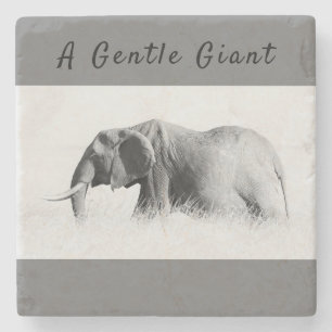 Gentle Giant Elephant foto met hoge sleutel met te Stenen Onderzetter