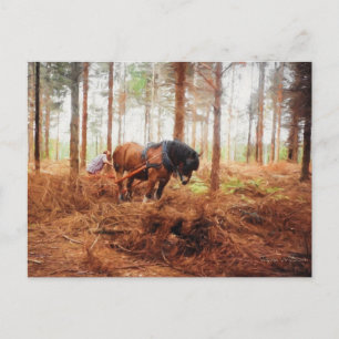 Gentle Giant - Ontwerppaard op het werk in het bos Briefkaart