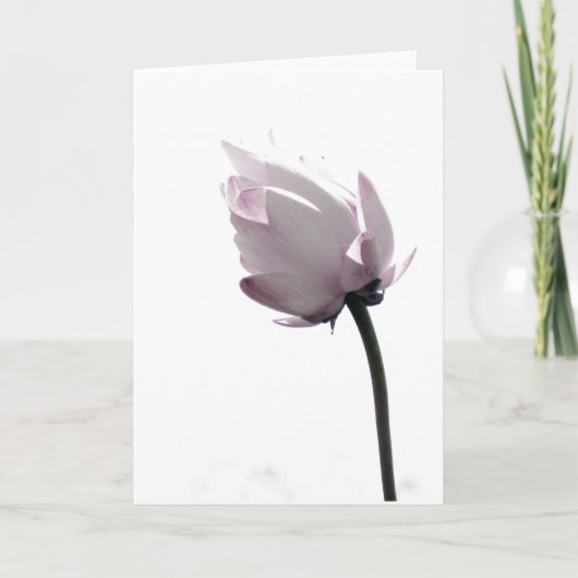 Gentle Kaart (Voorkant)