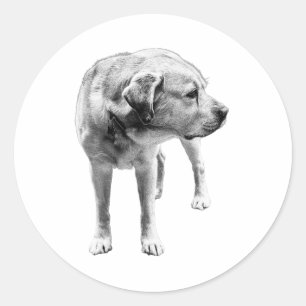 Gentle Lab – toegewijd hart Ronde Sticker
