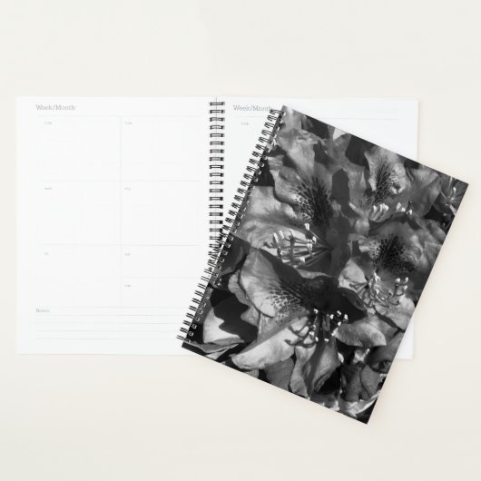 Gentle Lie Planner (Display)