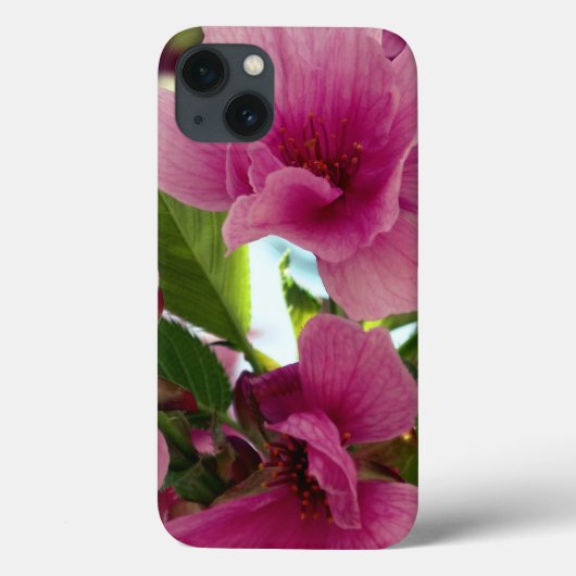 Gentle Love iPhone 6/6s, Tough Xtreme Case-Mate iPhone Case (Achterkant)