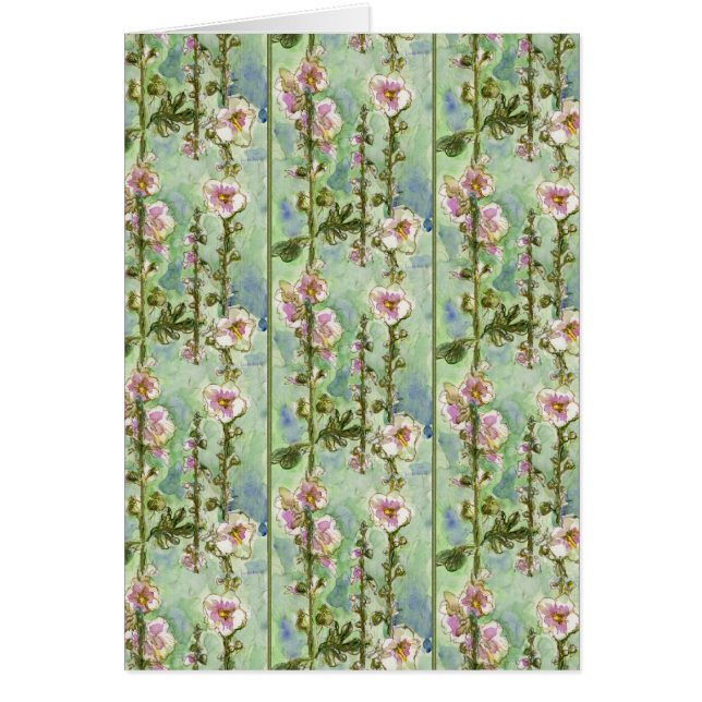 Gentle Mallow (Voorkant)