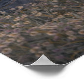 Gentle Meadow | Paarden Kunst | Poster (Hoek)