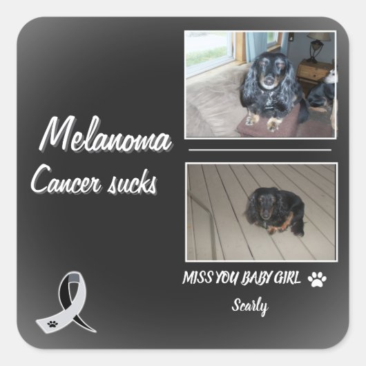 Gentle Melanoma Pet Memory Design Vierkante Sticker (Voorkant)