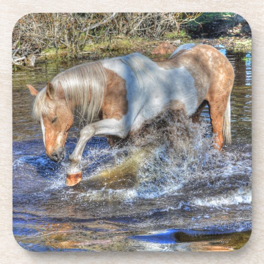 Gentle Palomino Pinto Stallion Speling in Pond Drankjes Onderzetter (Voorkant)
