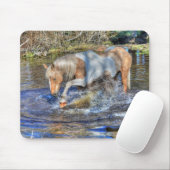 Gentle Palomino Pinto Stallion Speling in Pond Muismat (Met muis)