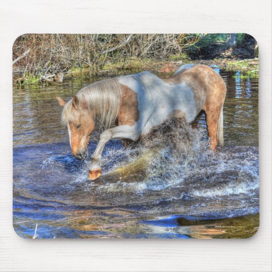 Gentle Palomino Pinto Stallion Speling in Pond Muismat (Voorkant)