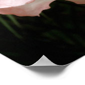 Gentle Poster (Hoek)
