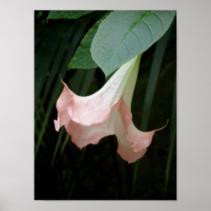 Gentle Poster