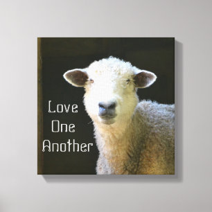 Gentle Sheep Canvas Afdruk