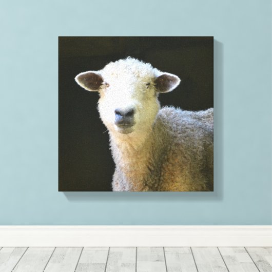 Gentle Sheep Canvas Afdruk (Insitu (Houten vloer))