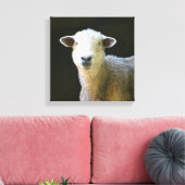 Gentle Sheep Canvas Afdruk (Insitu (Woonkamer))