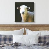 Gentle Sheep Canvas Afdruk (Insitu (Slaapkamer))
