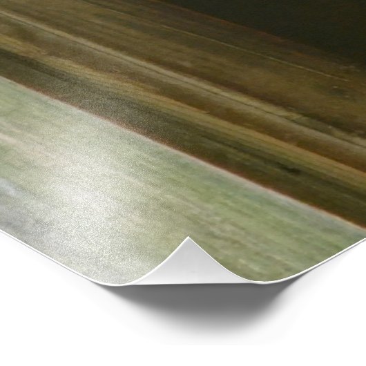 Gentle Sheep Foto Afdruk (Hoek)