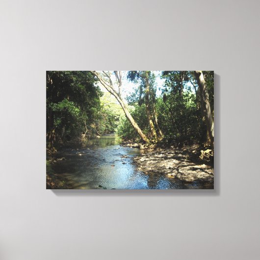 Gentle Stream Canvas Afdruk (Voorkant)