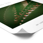 Gentle Thorns Green Succulent Plant Aloe Poster (Hoek)