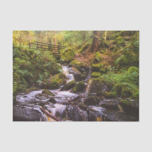 Gentle Waterfall Woodland Brook Tissuepapier (Voorkant)