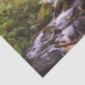 Gentle Waterfall Woodland Brook Tissuepapier (Detail)