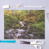 Gentle Waterfall Woodland Brook Tissuepapier (Craft)