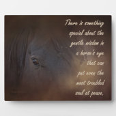 Gentle Wisdom in een paardenoog Fotoplaat (Voorkant)