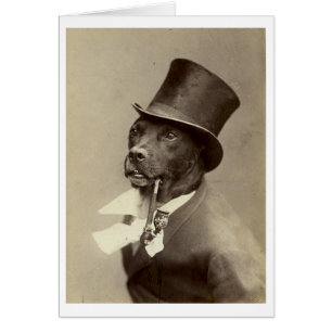 - Gentleman Dog met Top Hat & Pipe,