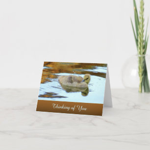 Gently Gosling - Denken aan jou - Blanco Kaart