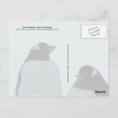 Gento Penguins, Antarctisch schiereiland Briefkaart (Achterkant)