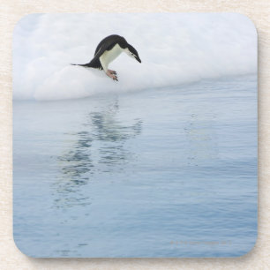 Gento pinguin (Pygoscelis papua) Drankjes Onderzetter