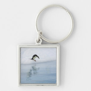 Gento pinguin (Pygoscelis papua) Sleutelhanger