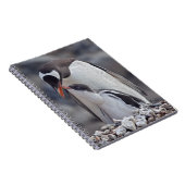 Gentoo en kuiken notitieboek (Rechterzijde)