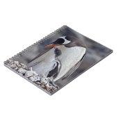 Gentoo en kuiken notitieboek (Linkerzijde)